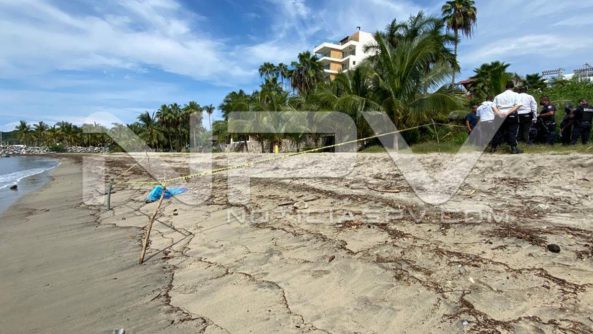 seguridad bahia 20048