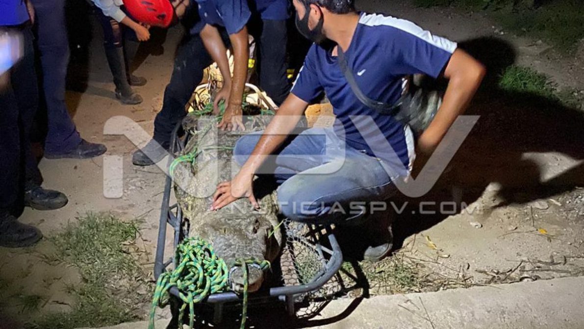 seguridad bahia 21315