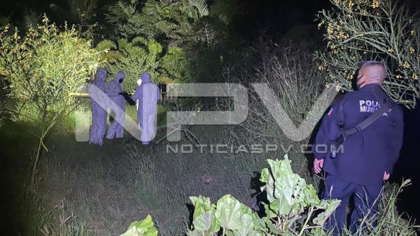 seguridad bahia 21339