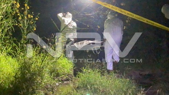 seguridad bahia 21341