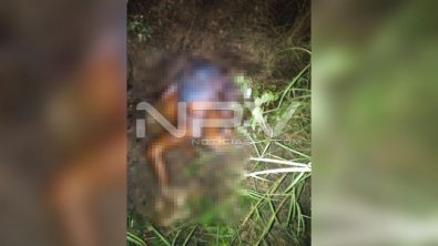 seguridad bahia 21362