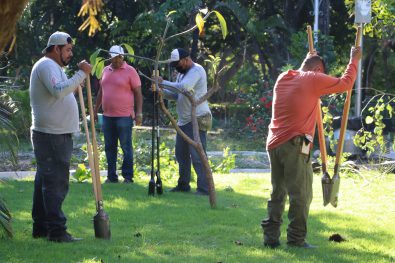 COMUNICADO 1751-Trabajos reforestación y mantenimiento Isla Río Cuale (6)