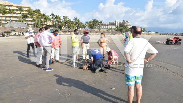 seguridad bahia 22094