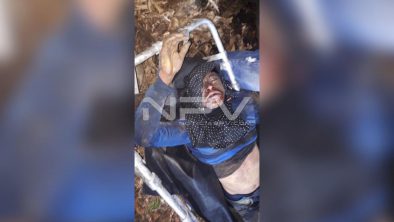 seguridad bahia 23066