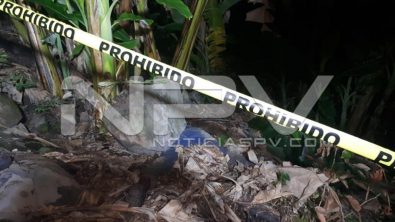 seguridad bahia 23067