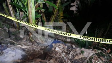 seguridad bahia 23069