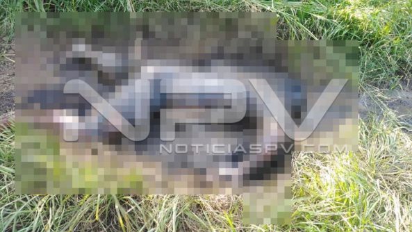 seguridad bahia 23221