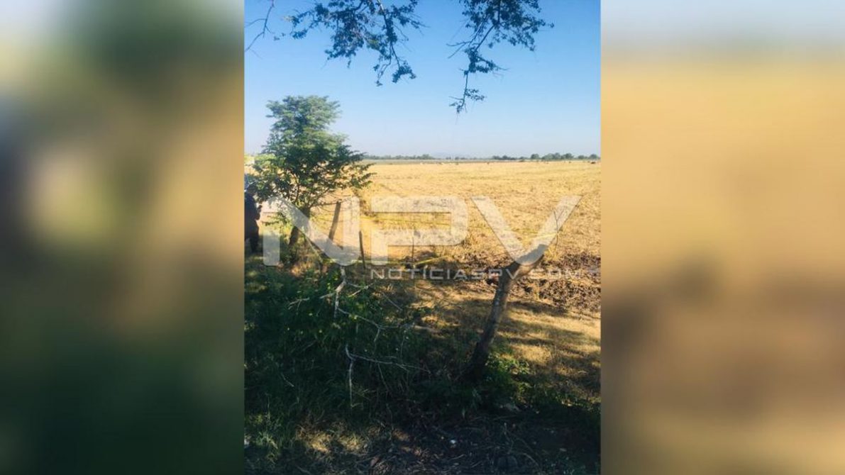 SEGURIDAD BAHIA 4799