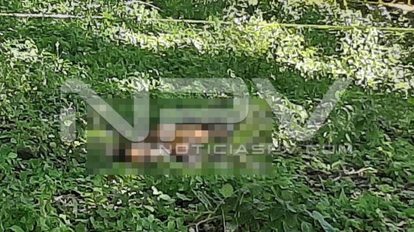 SEGURIDAD BAHIA 5254