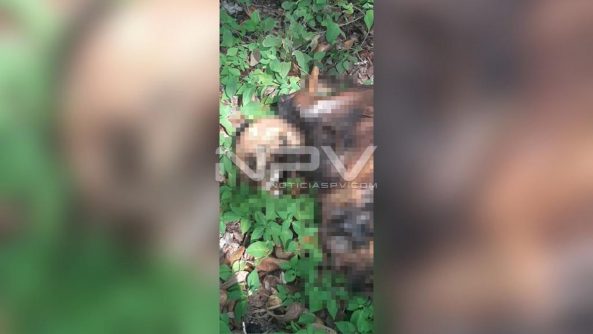 SEGURIDAD BAHIA 5255