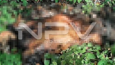 SEGURIDAD BAHIA 5259