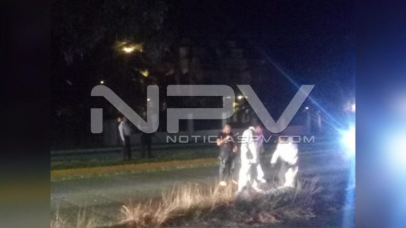 SEGURIDAD BAHIA 5356