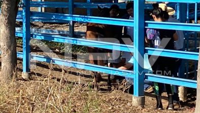 SEGURIDAD BAHIA 5713