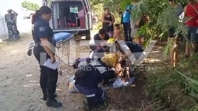 SEGURIDAD BAHIA 6736