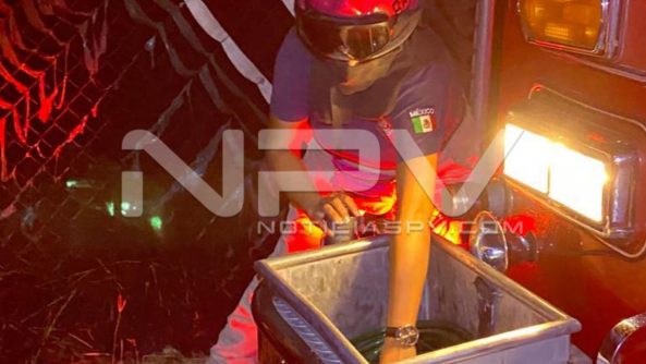 SEGURIDAD BAHIA 7347