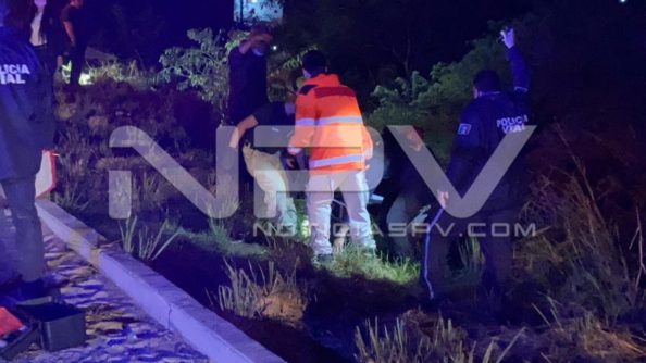 SEGURIDAD BAHIA 8090