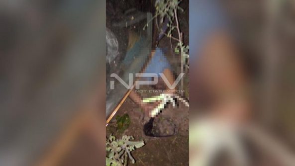 SEGURIDAD BAHIA 8104