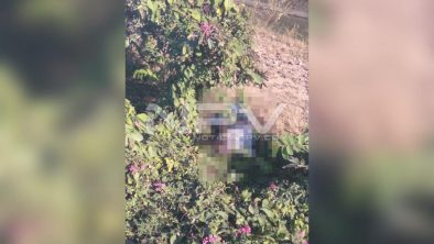 SEGURIDAD BAHIA 8454