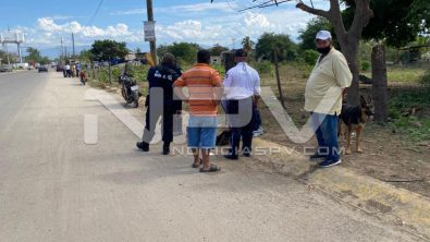 SEGURIDAD BAHIA 8636