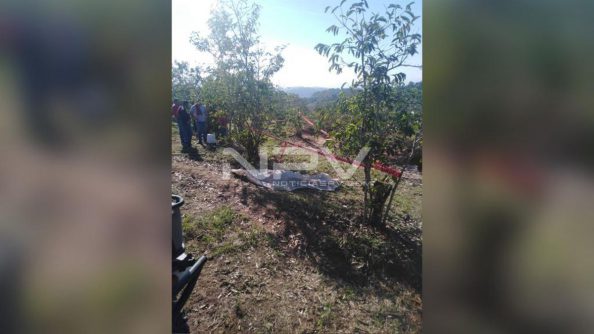 SEGURIDAD BAHIA 9142