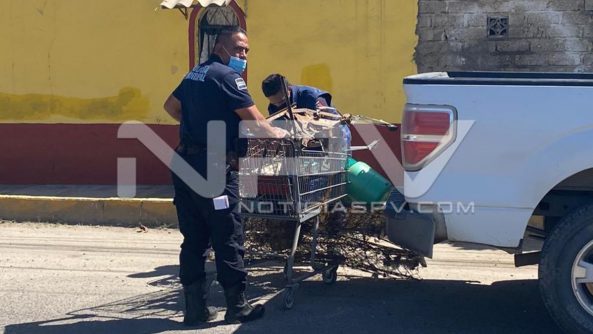 SEGURIDAD BAHIA 009