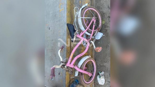 SEGURIDAD BAHIA 11176