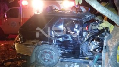 SEGURIDAD BAHIA 11590