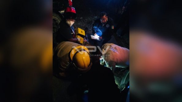 SEGURIDAD BAHIA 11602