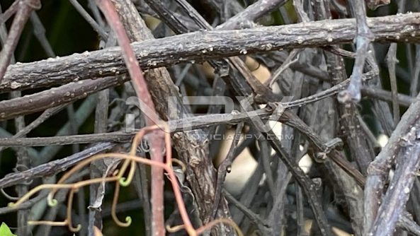 871E48EA-0ED9-4758-A125-CCB9CE340F51