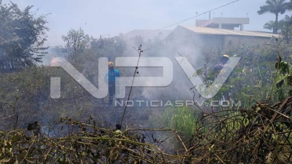 SEGURIDAD BAHIA 006