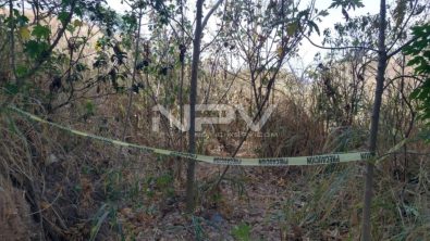 SEGURIDAD BAHIA 13077