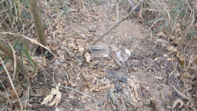 SEGURIDAD BAHIA 13079