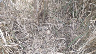 SEGURIDAD BAHIA 13080