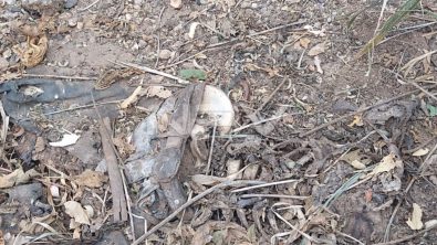 SEGURIDAD BAHIA 13084