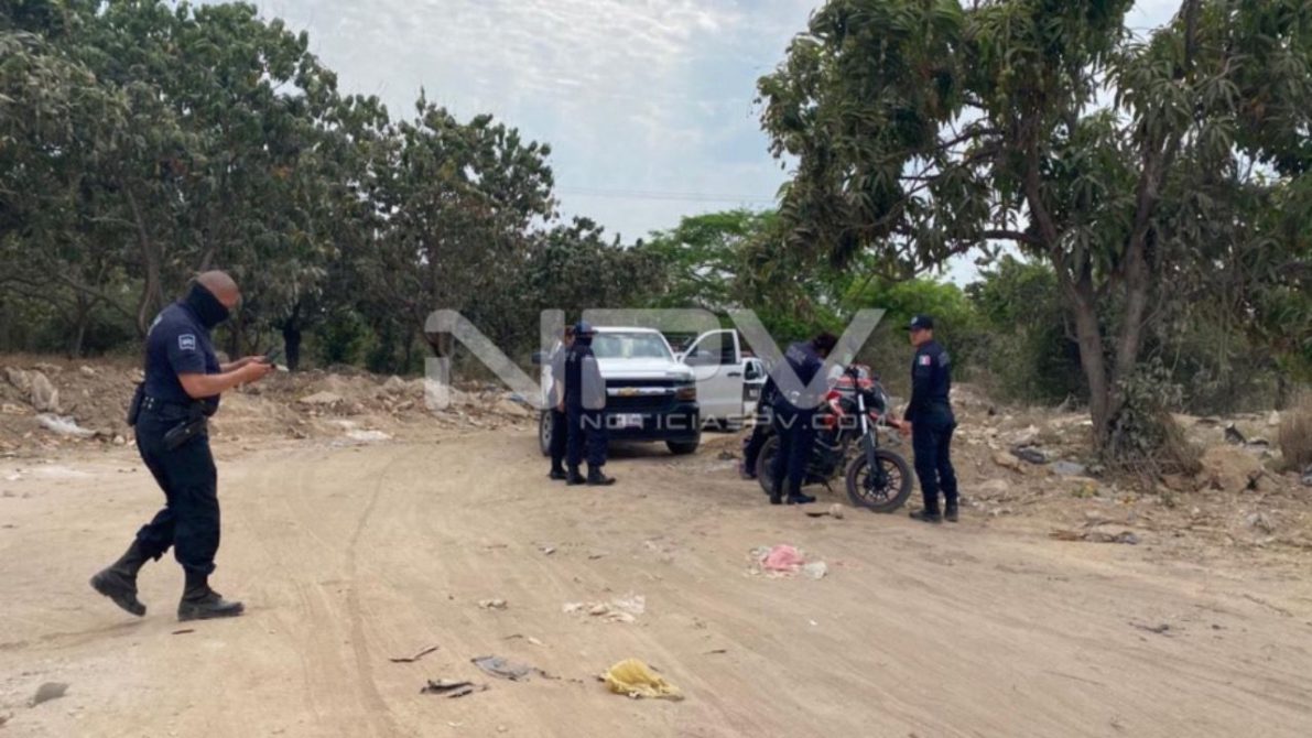 SEGURIDAD BAHIA 13195