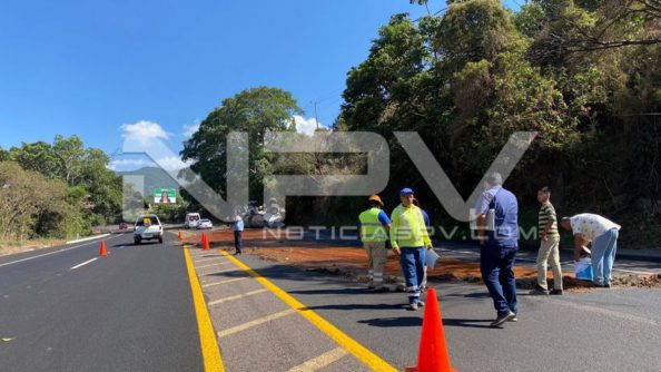 SEGURIDAD BAHIA 002