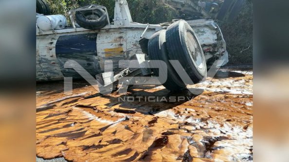 SEGURIDAD BAHIA 005