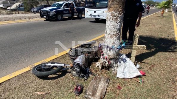 SEGURIDAD BAHIA 13441