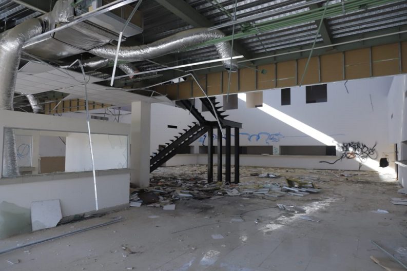 FIN LA DE CARTON (3)