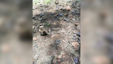 SEGURIDAD BAHIA 15710