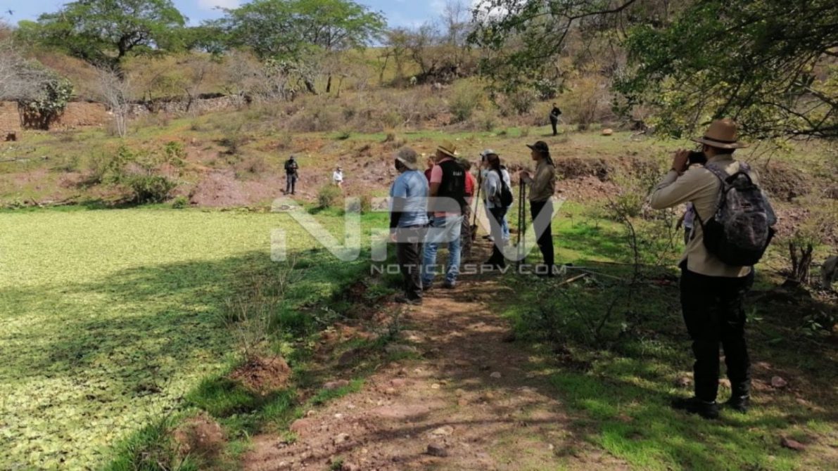 SEGURIDAD BAHIA 15717