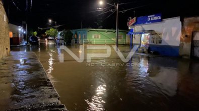 SEGURIDAD BAHIA 16202