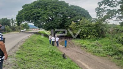 SEGURIDAD BAHIA 16533