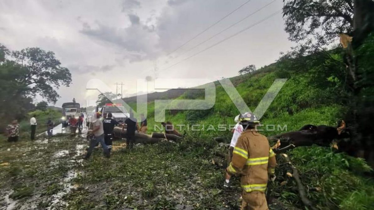 SEGURIDAD BAHIA 004