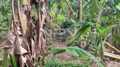 SEGURIDAD BAHIA 16872