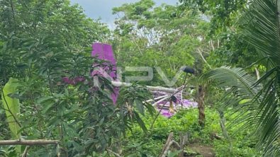 SEGURIDAD BAHIA 16884