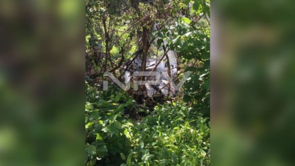 SEGURIDAD BAHIA 17544