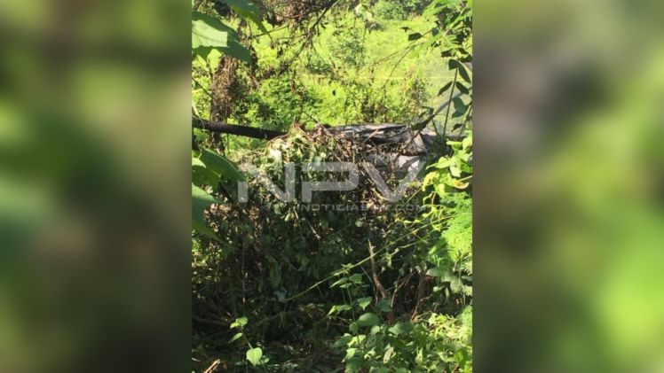 SEGURIDAD BAHIA 17546