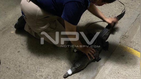 SEGURIDAD BAHIA 18470