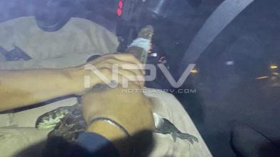 SEGURIDAD BAHIA 18473